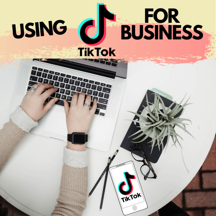 Using TikTok for Business